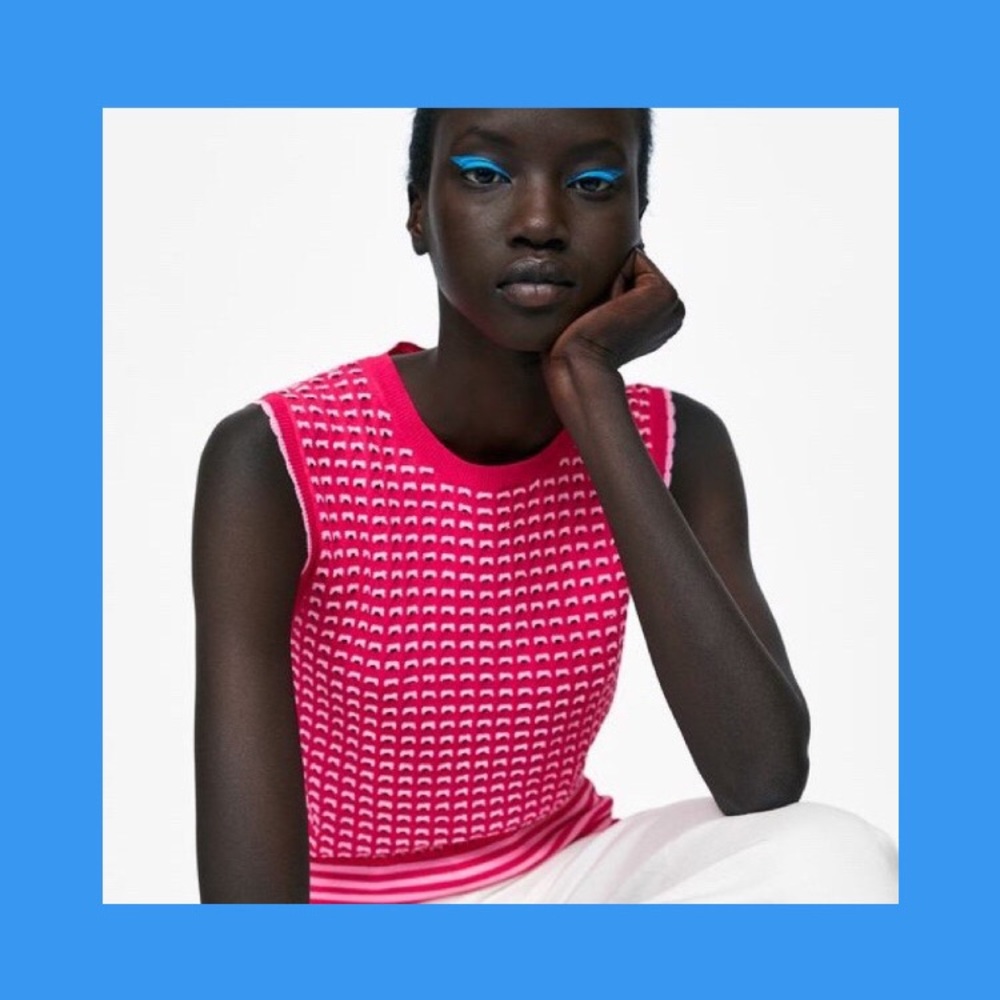 Zara Pink Cutwork Knit top